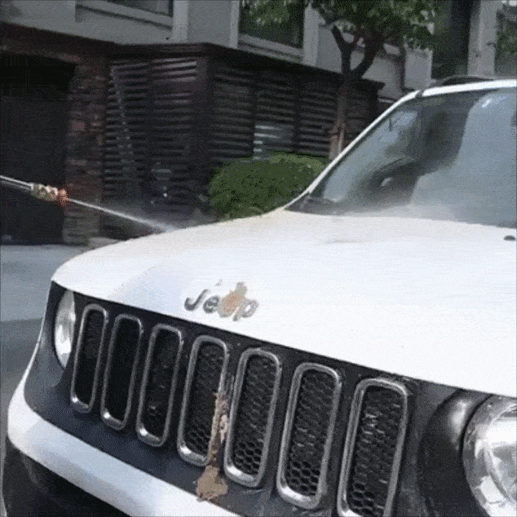 Original BrandCleanz Car Wash Machine