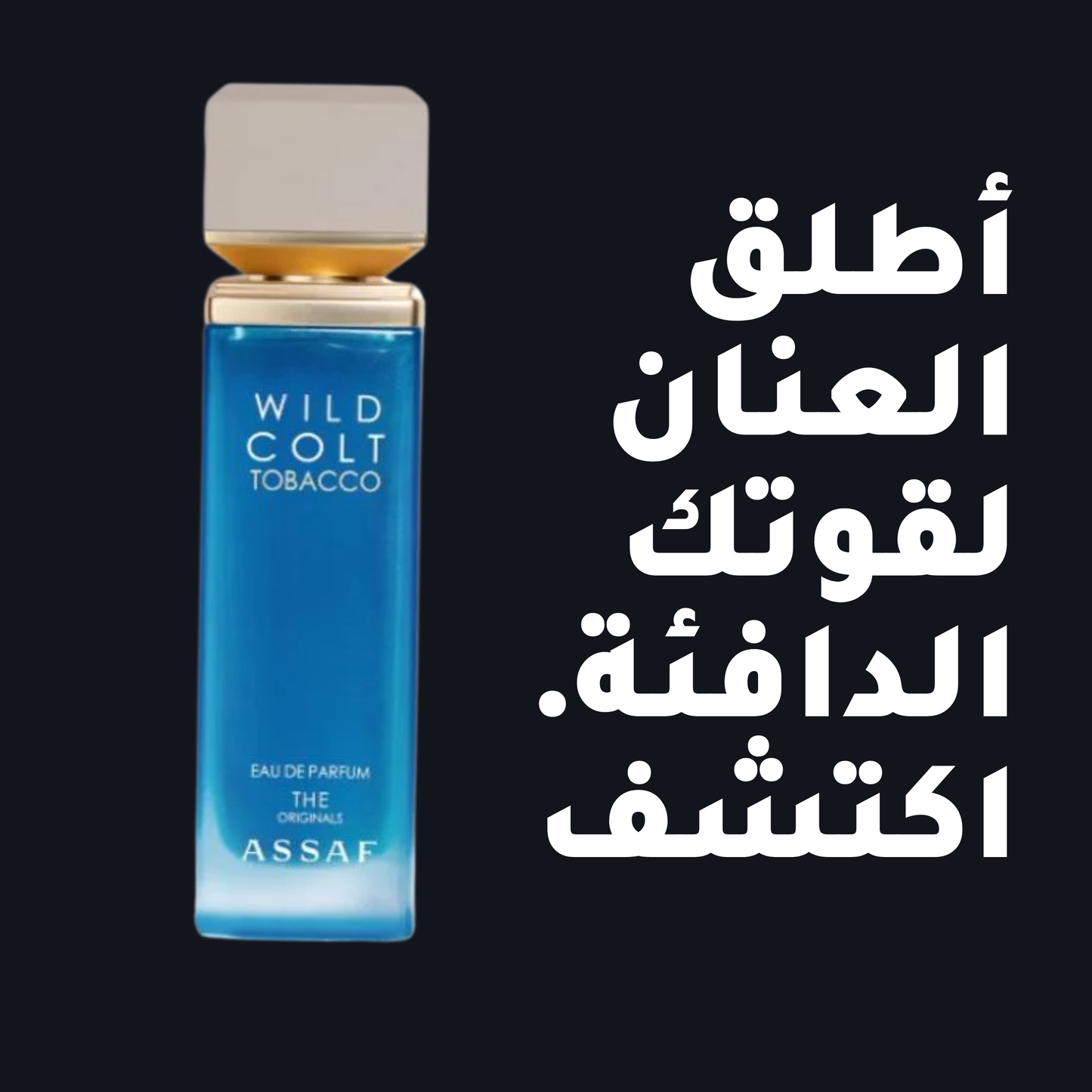 WILD COLT TOBACCO عطر