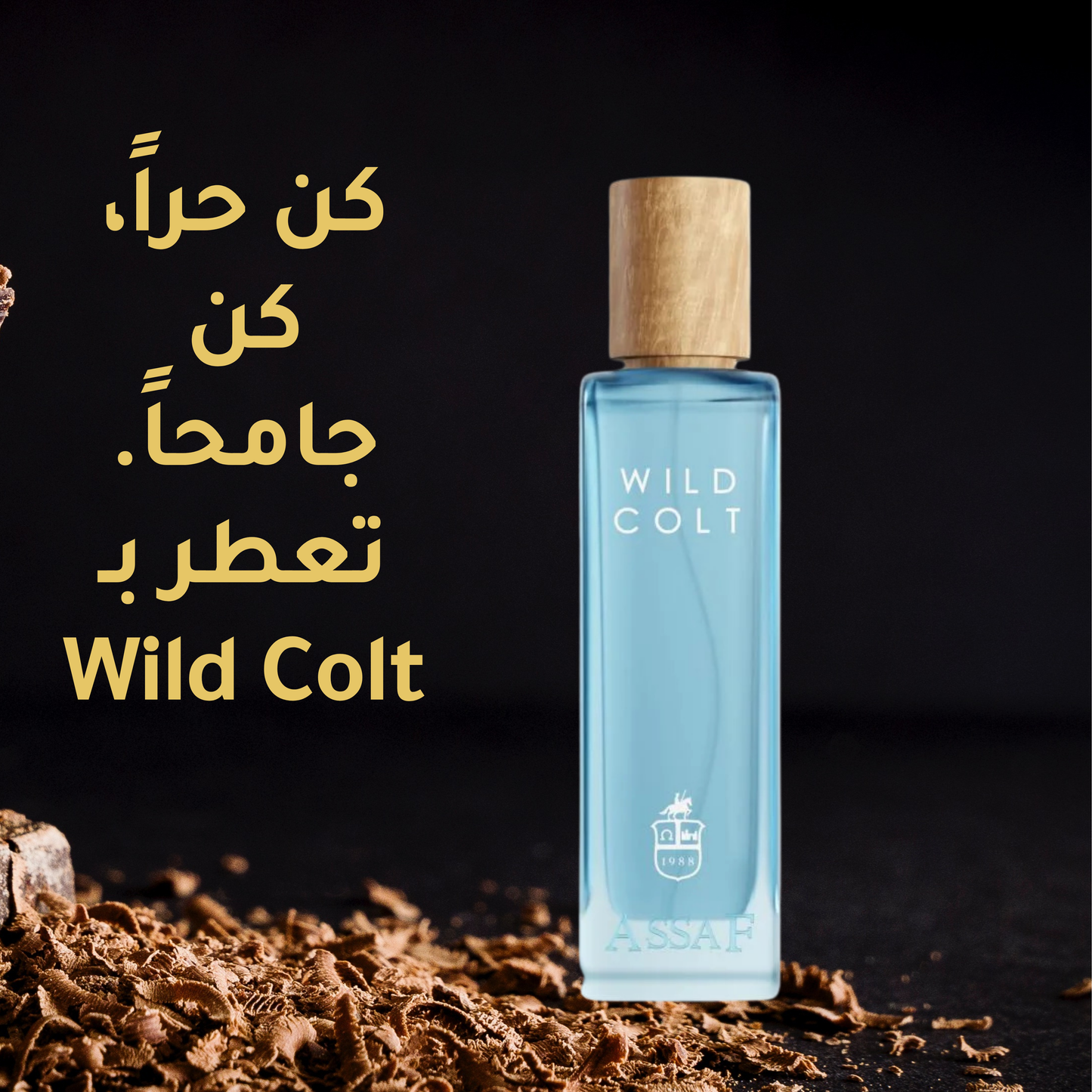 ASSAF من WILD COLT  عطر
